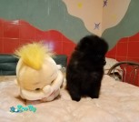 изображение_viber_2021-11-26_21-34-58-773