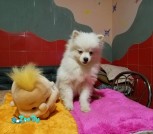 изображение_viber_2021-11-26_21-34-14-576