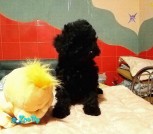 изображение_viber_2021-11-26_21-30-47-220