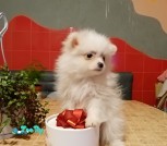 изображение_viber_2021-12-26_23-13-39-232