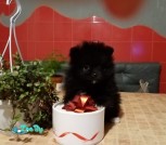 изображение_viber_2021-12-26_23-16-03-104