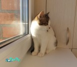 IMG-b7c91a75800f70e48d4180dec2c91ed0-V