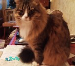 изображение_viber_2022-01-04_20-42-47-275