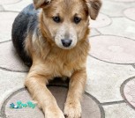 изображение_viber_2022-03-02_22-19-24-268