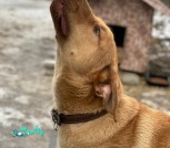 изображение_viber_2022-03-02_22-34-36-917