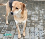 изображение_viber_2022-03-02_22-33-55-499