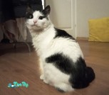 об3