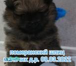 ckNKBSrTjjlwBs9GZHEsZSf32H4rENkDVfsjidkA-IJOMPCMHsPTxpDb3ucizAC1rU_OdAqJMJapBNWvn02piaFV