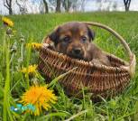IMG-369a5537b1797eef4f19d426eb063708-V