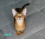 DSC01606
