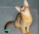 DSC01619