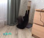 изображение_viber_2022-02-17_10-07-41-076