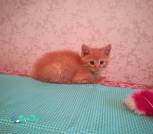 IMG-05ec00cfc14793962bcbf88491f4e122-V
