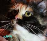 IMG_20220625_165642