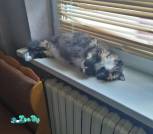 IMG_20220625_165652