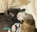 изображение_viber_2022-06-27_15-44-06-625