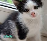 IMG20220718185441~2
