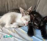 IMG_20220720_130735