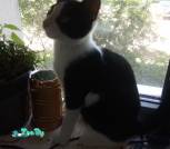 1 IMG_20220624_130542