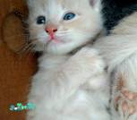 IMG_20220719_093350