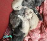 IMG_20220724_121859
