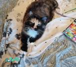 IMG_20220803_141347