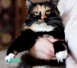 IMG_20220803_141354