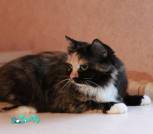 IMG_20220803_141412