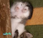 photo котя Катя