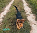 IMG-f77381d1951b6589020d3934c3a1c5df-V