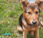 IMG_20220711_164815_079