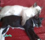 изображение_viber_2022-08-16_14-09-25-446