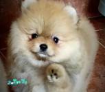 IMG_20220827_165957