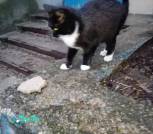IMG_20220415_201147