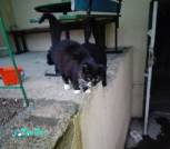 IMG_20220415_201201