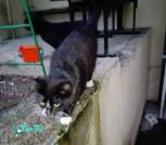 IMG_20220415_201203