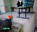 IMG_20220415_201217