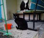 IMG_20220415_201234