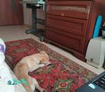 IMG_20220315_123940