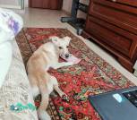 IMG_20220315_123951