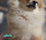 IMG_20220923_194442
