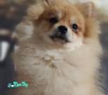 IMG_20220923_194553