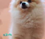 IMG_20220923_212544