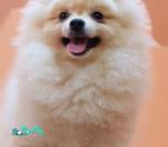 IMG_20220923_212618