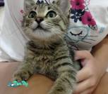 IMG-c6622046c7d0c1e653282a2fef9c73cf-V