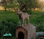 изображение_viber_2022-10-04_14-01-03-505