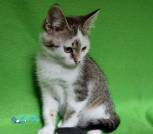 IMG_20220924_153446