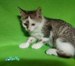 IMG_20220924_153457