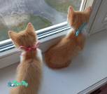 IMG_20221007_175407