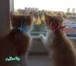 IMG_20221007_175535